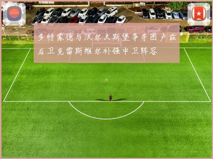 多特蒙德与沃尔夫斯堡争夺图卢兹后卫克雷斯维尔补强中卫阵容