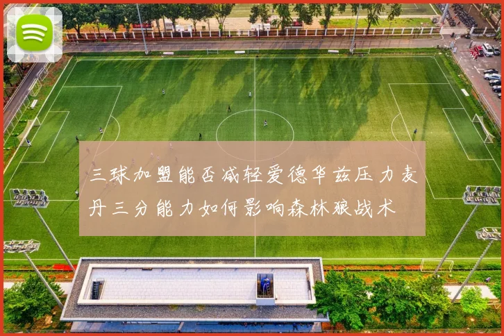 三球加盟能否减轻爱德华兹压力麦丹三分能力如何影响森林狼战术