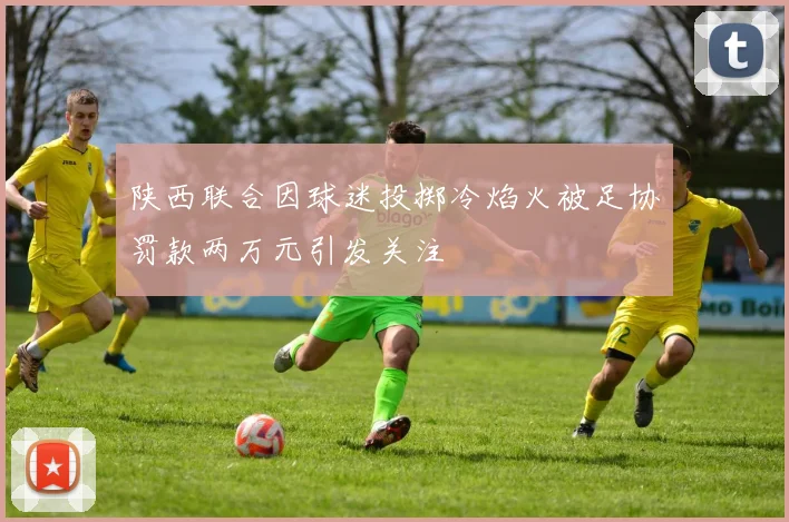陕西联合因球迷投掷冷焰火被足协罚款两万元引发关注